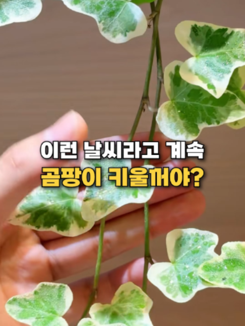 @👈 상상플러스