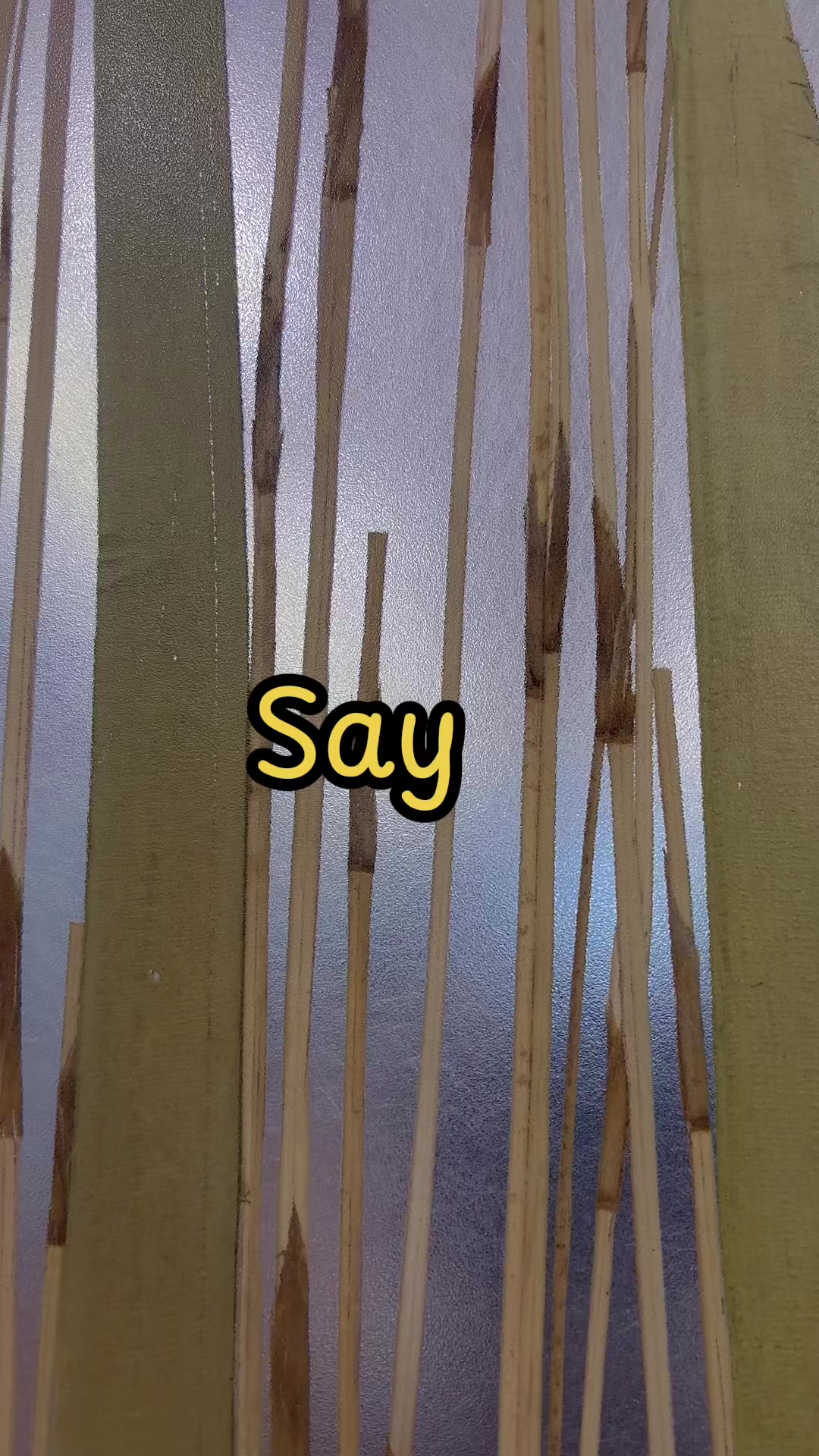 @Tryannjackal 🇨🇦