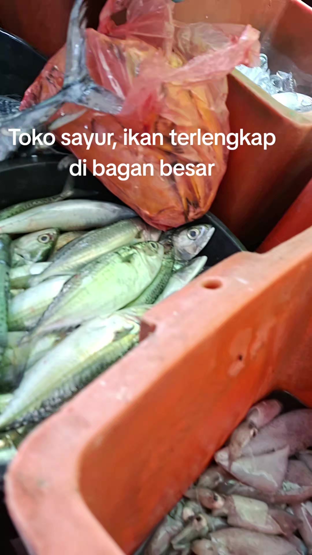 @Naga jaya
