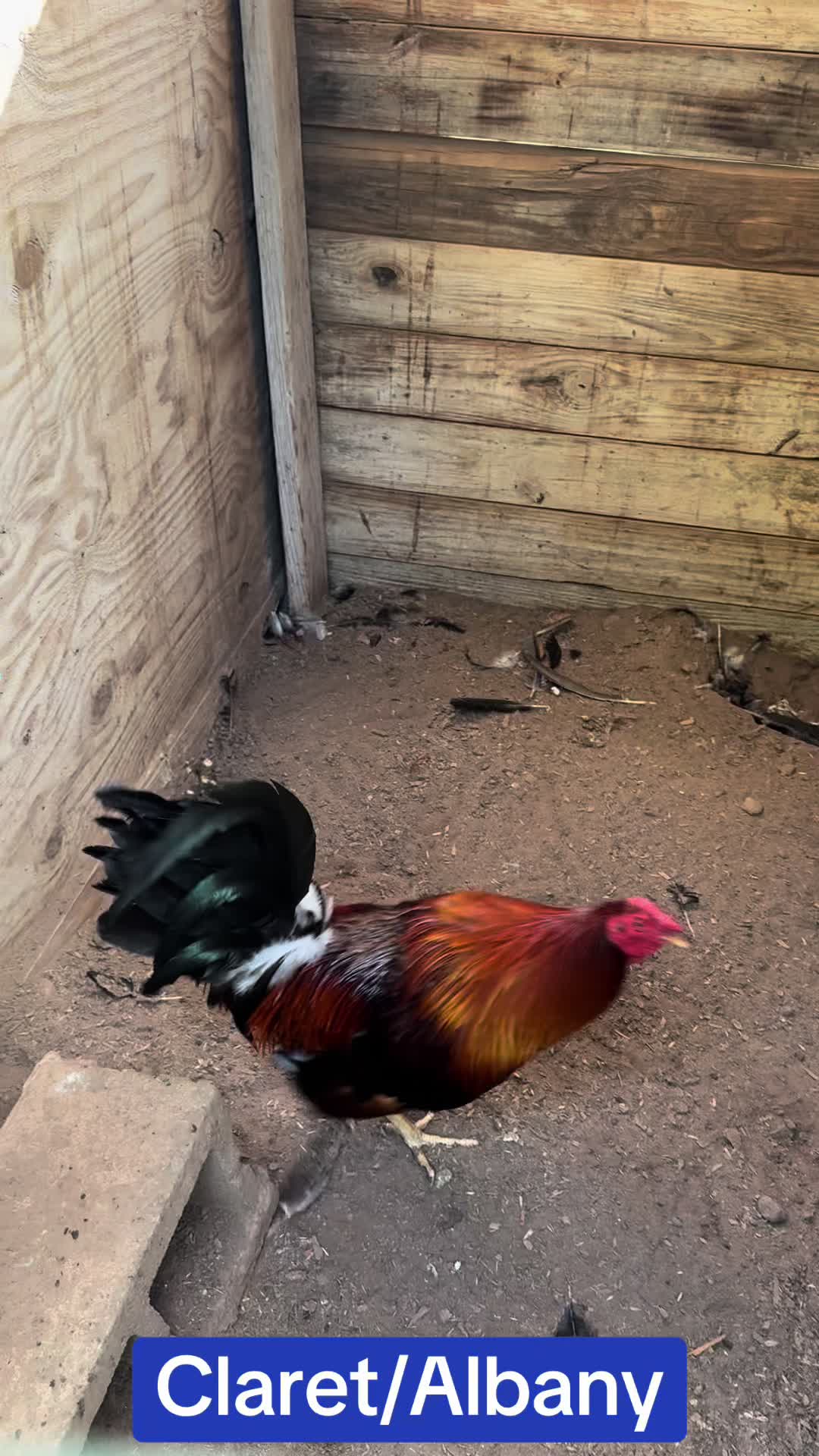 @Bryan Gamefarm