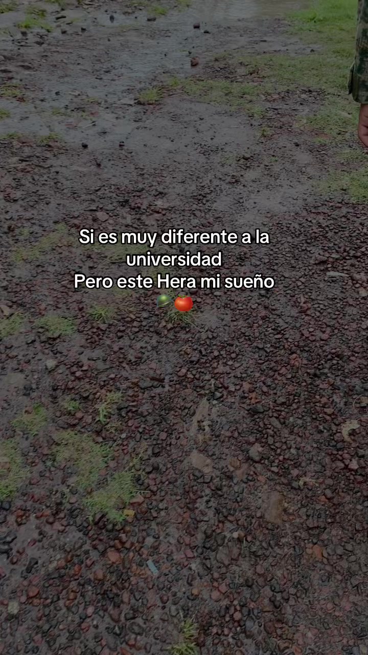 @🍃