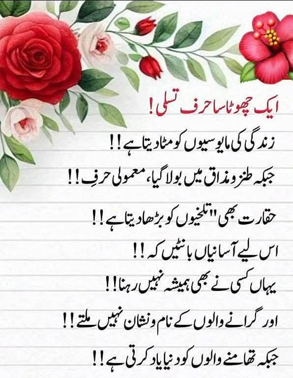 @Jabeen1786