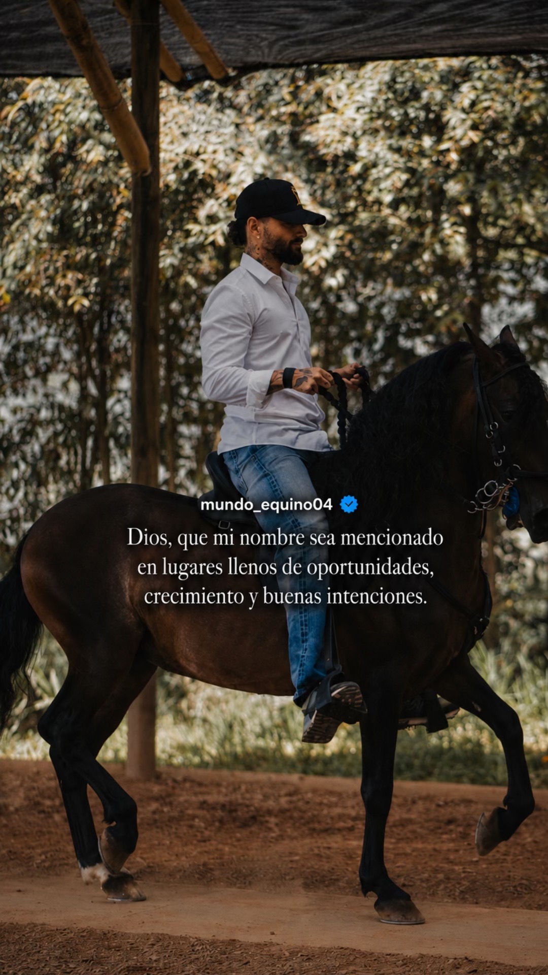 @mundo_equino04
