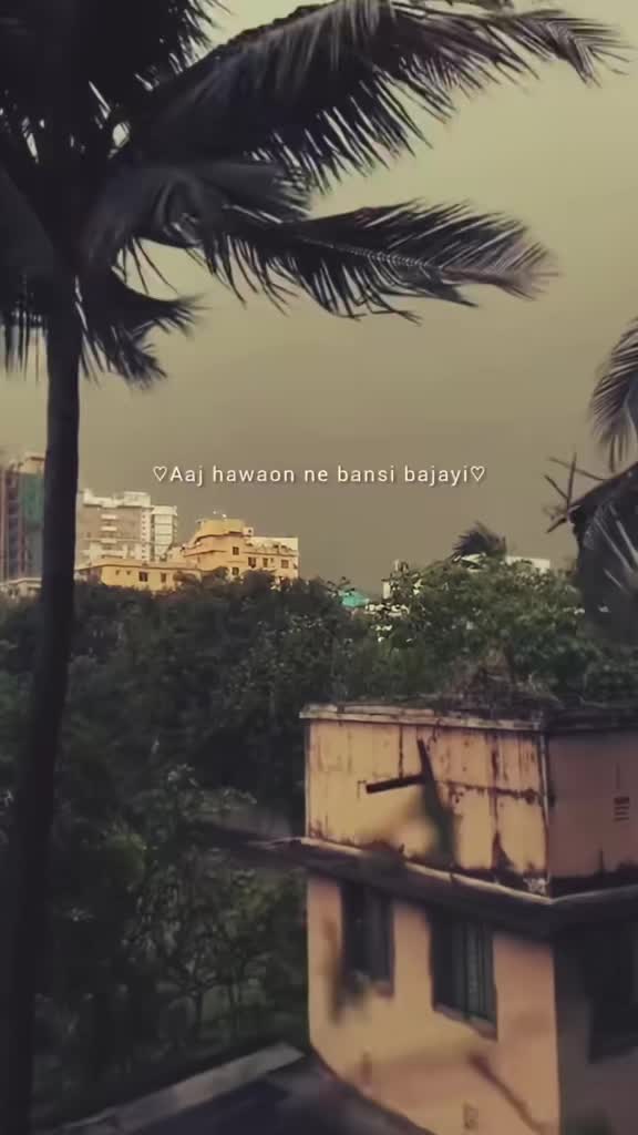 @ᦓꪀꫀꫝꪖ