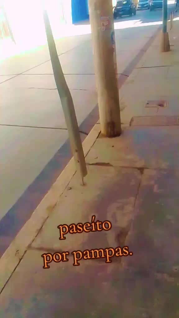 @Jhon tu chico fiel