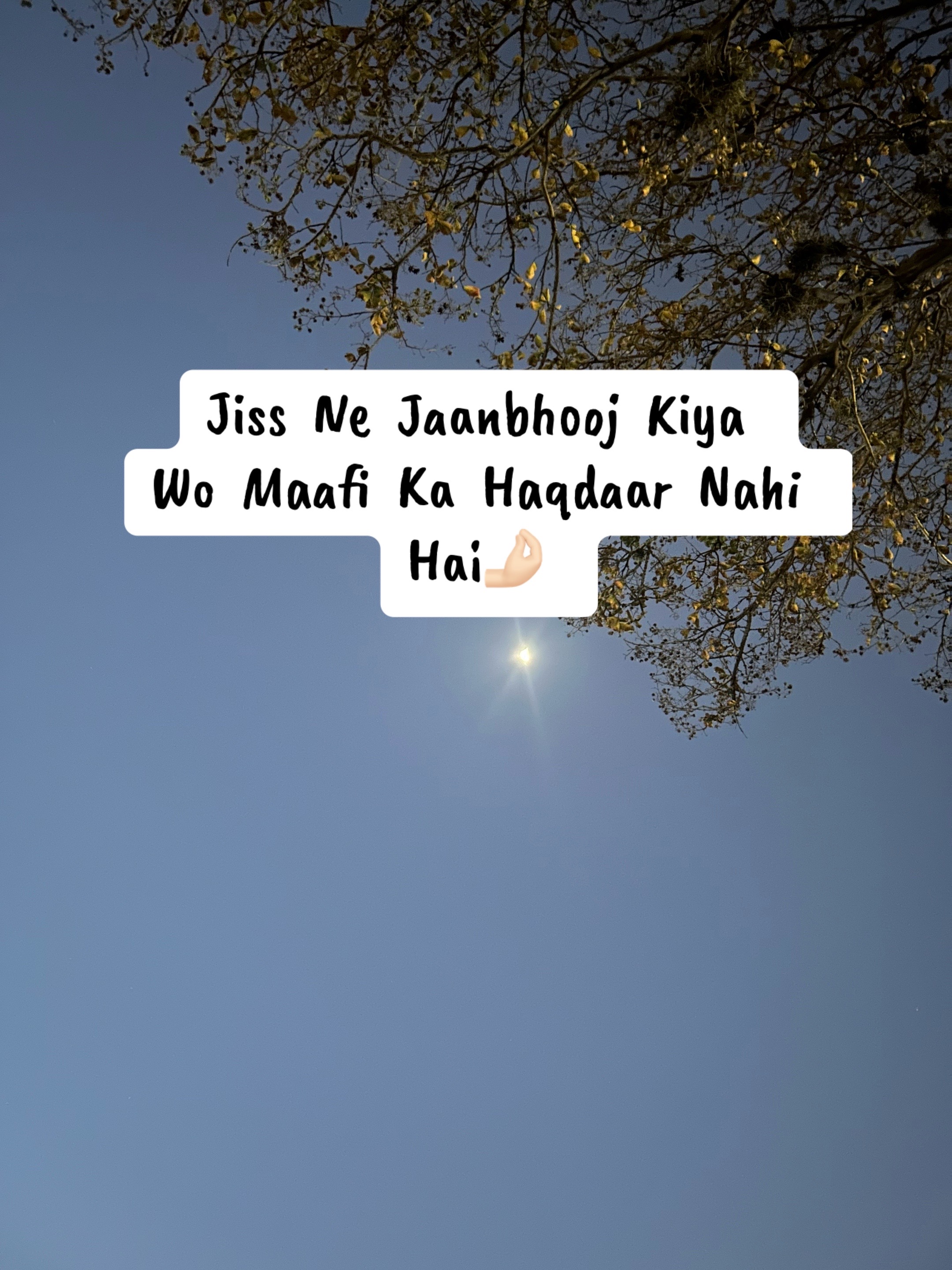 @ZaraHayat020104