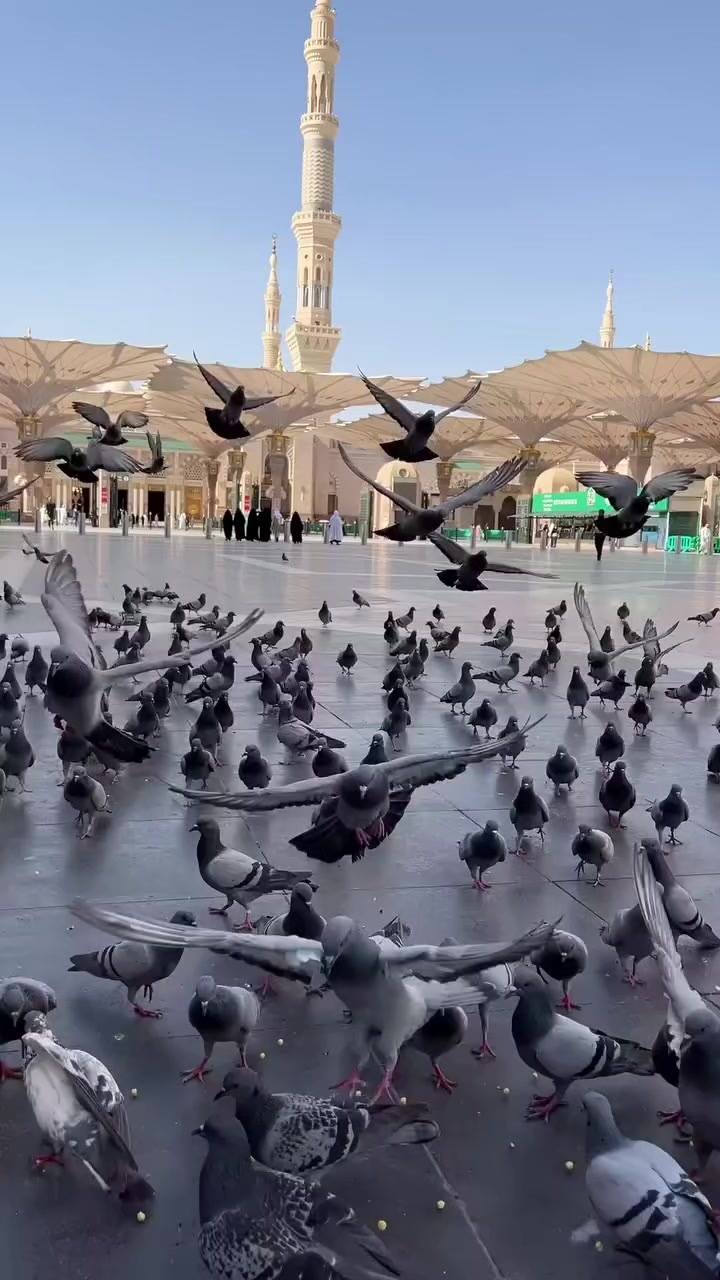 @&hearts;️🕋Arshad.ali🕋&hearts;️