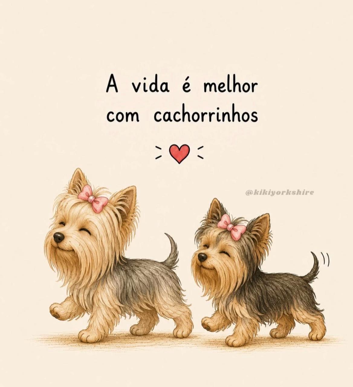 @Carla Morgado