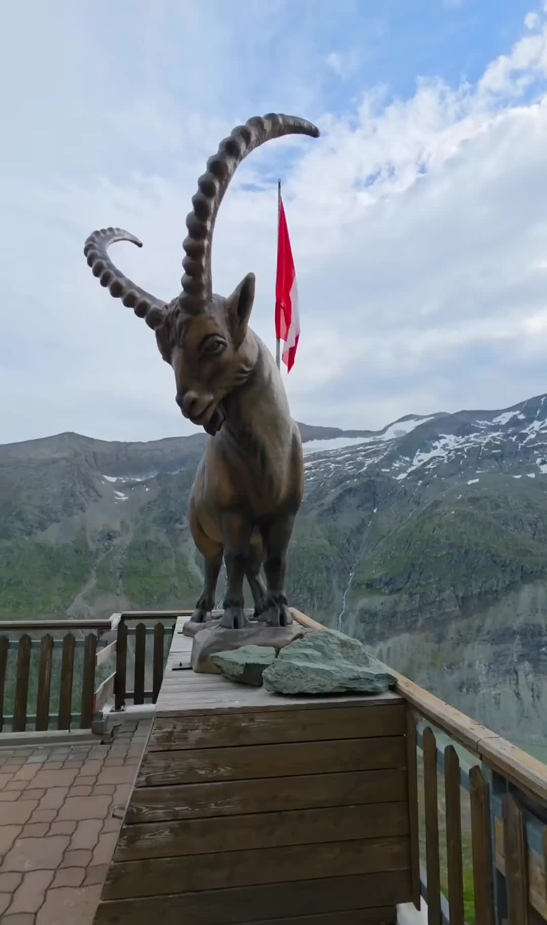 @Lion 🇦🇹