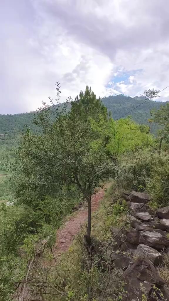 @Kashmir_Dream_land