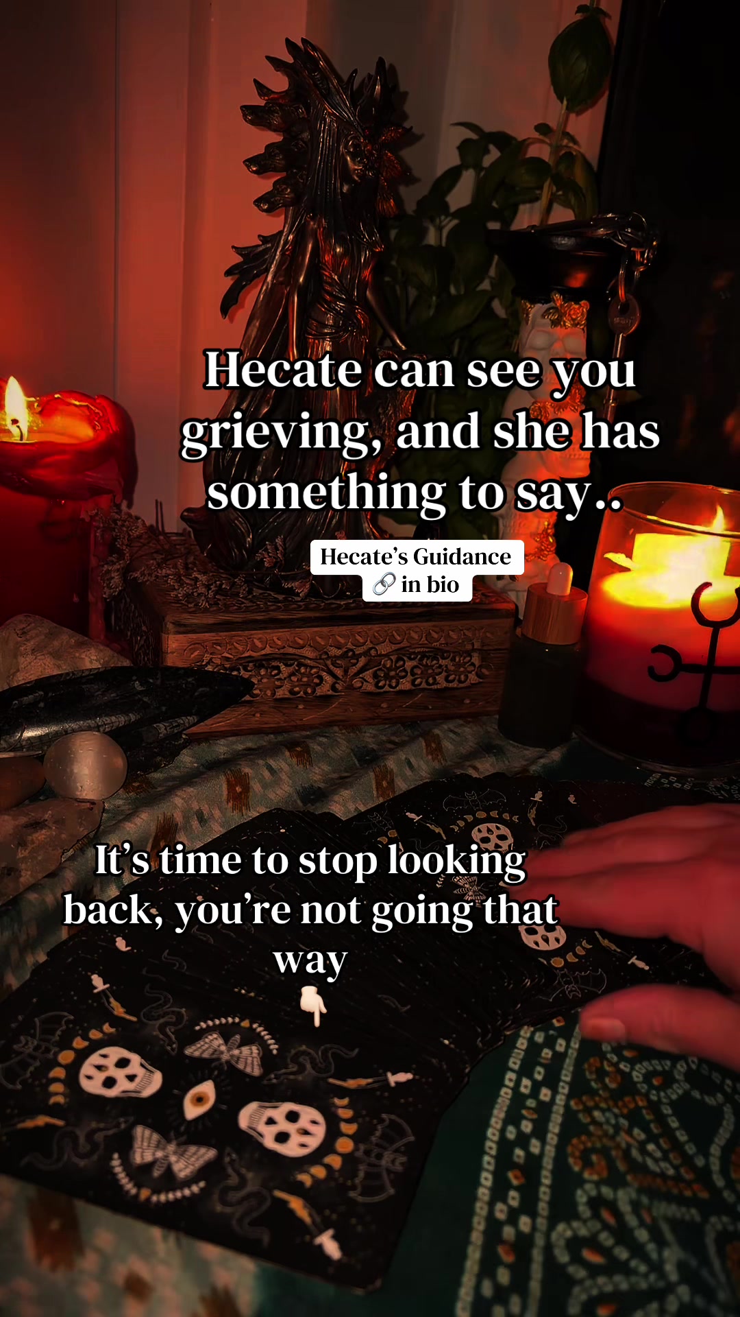 @Maple Magick