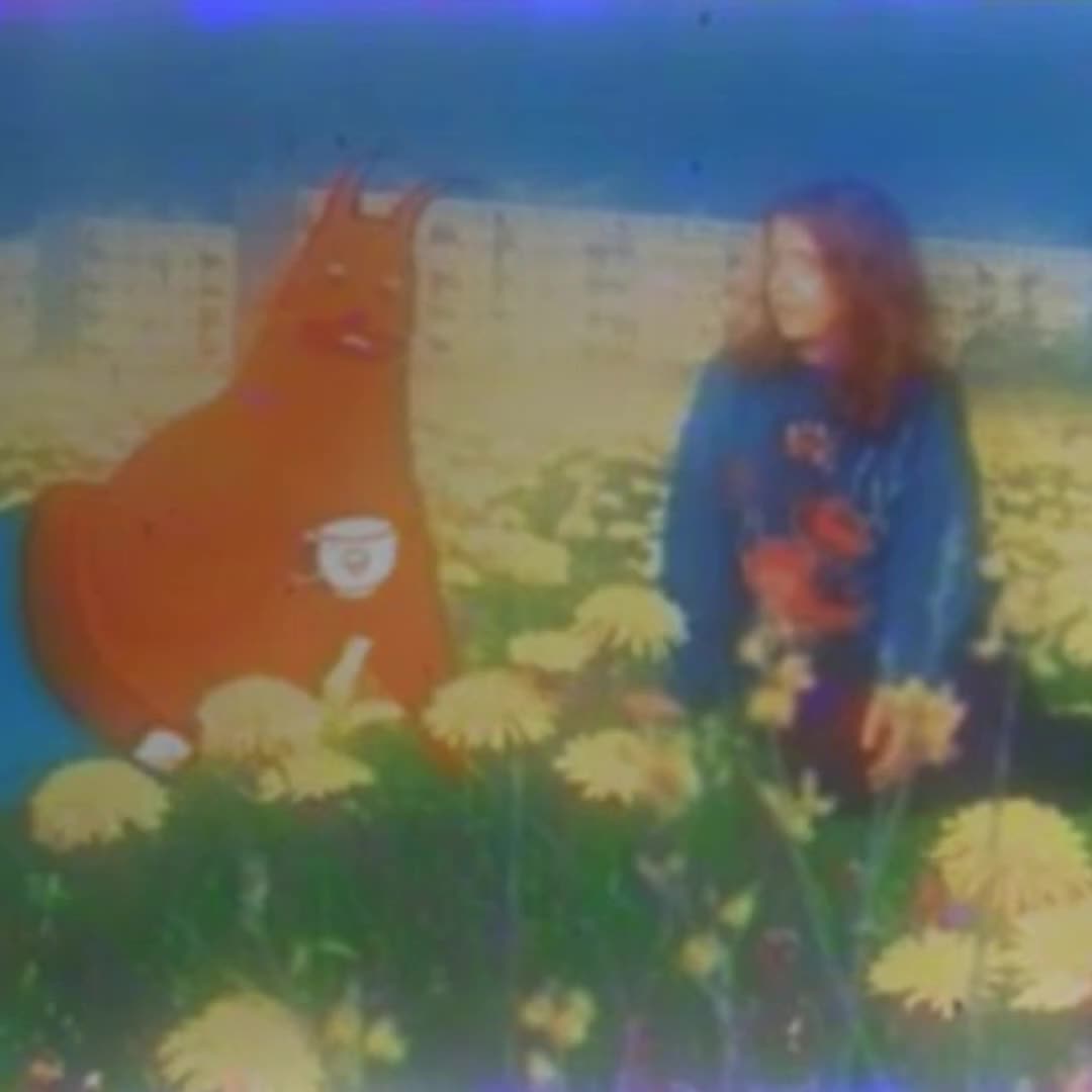 @weird side of internet