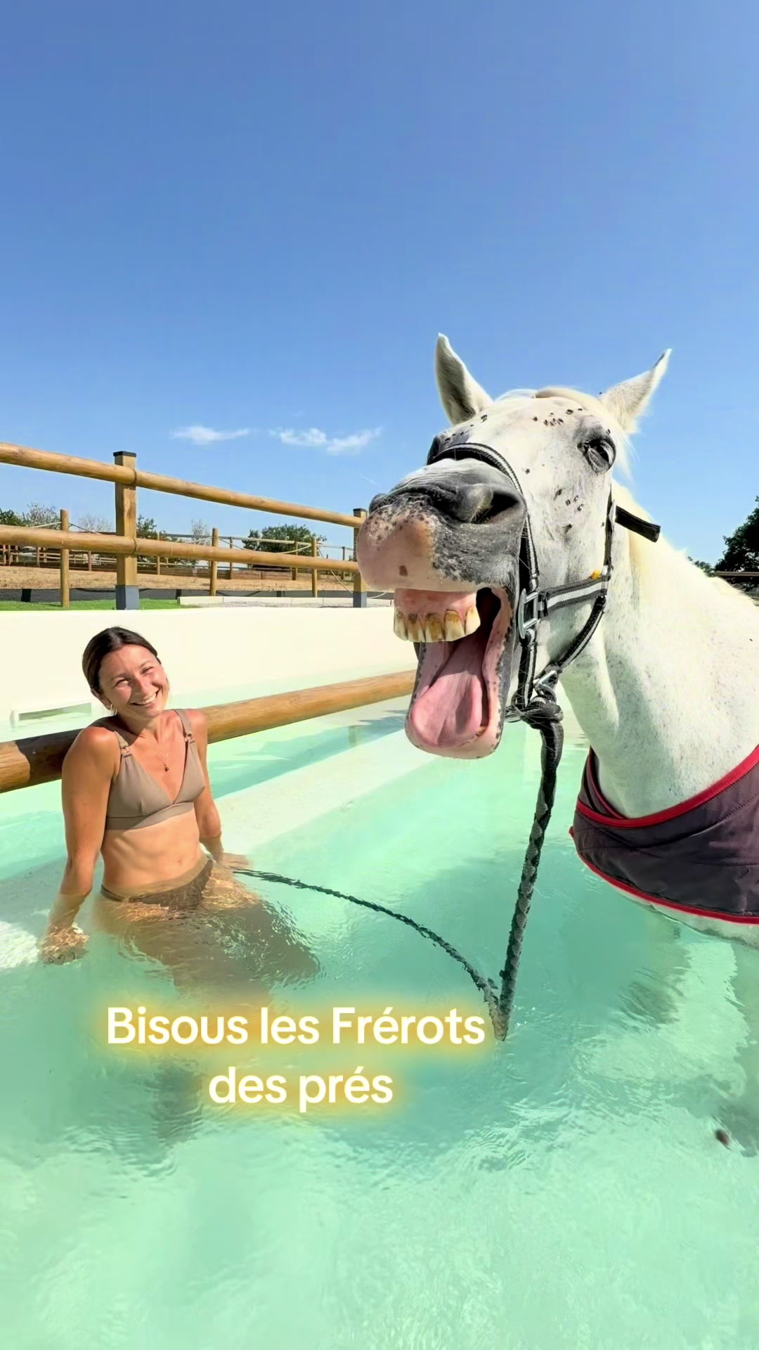 @Centre BienEtre Equin & Canin