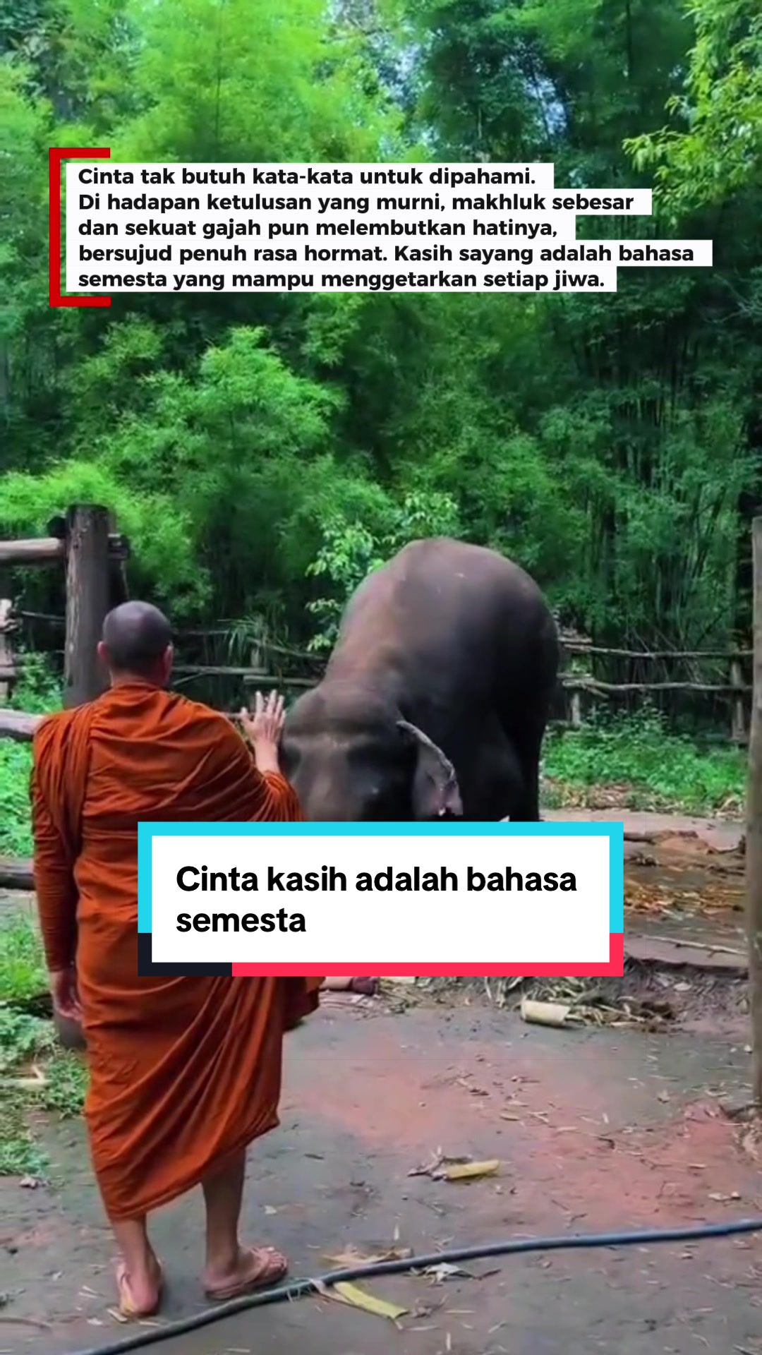 @BuddhaZine