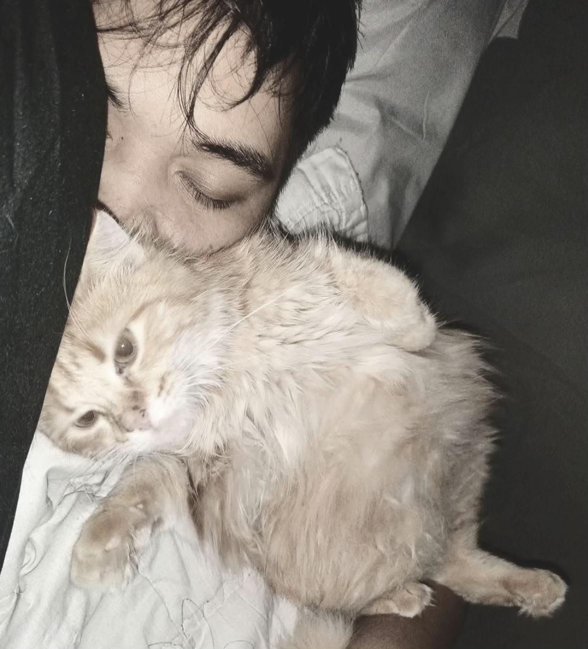 @TheCatFather