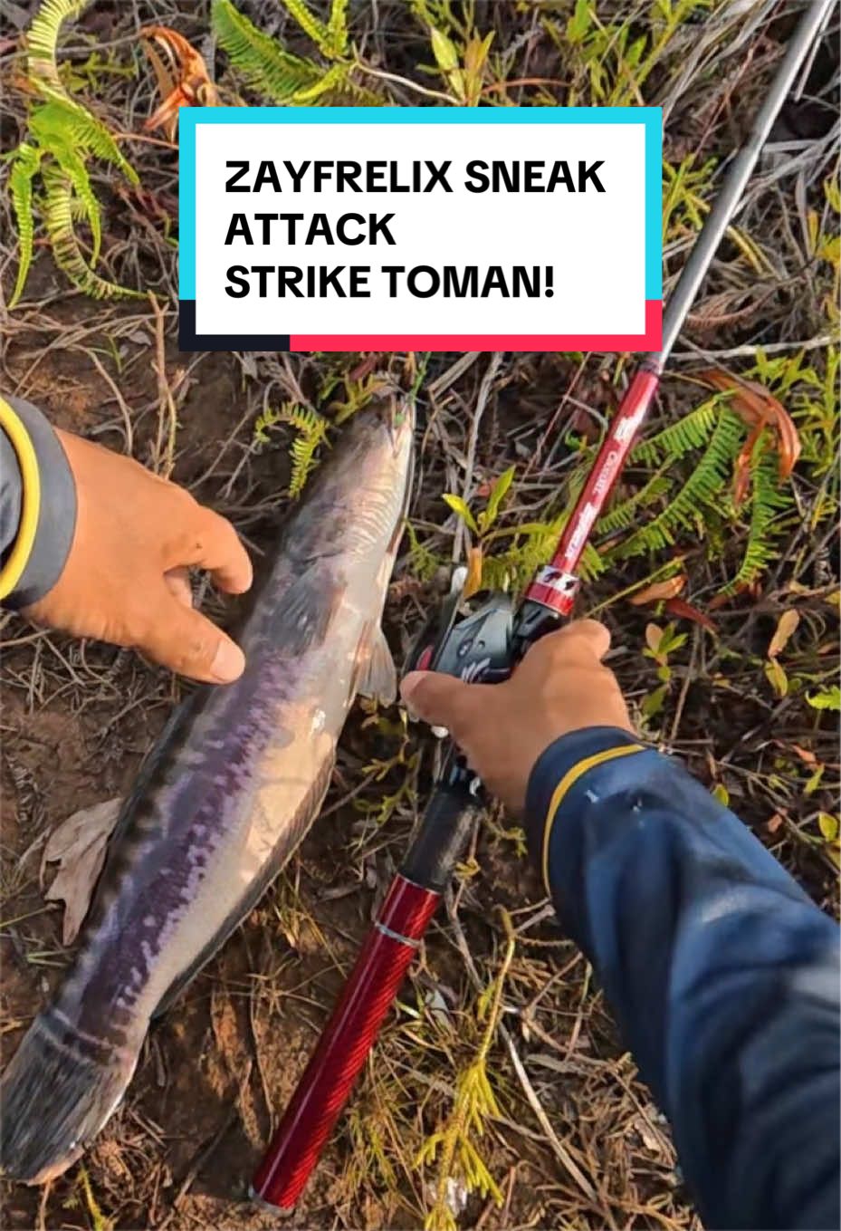 @AidiYeonTackle
