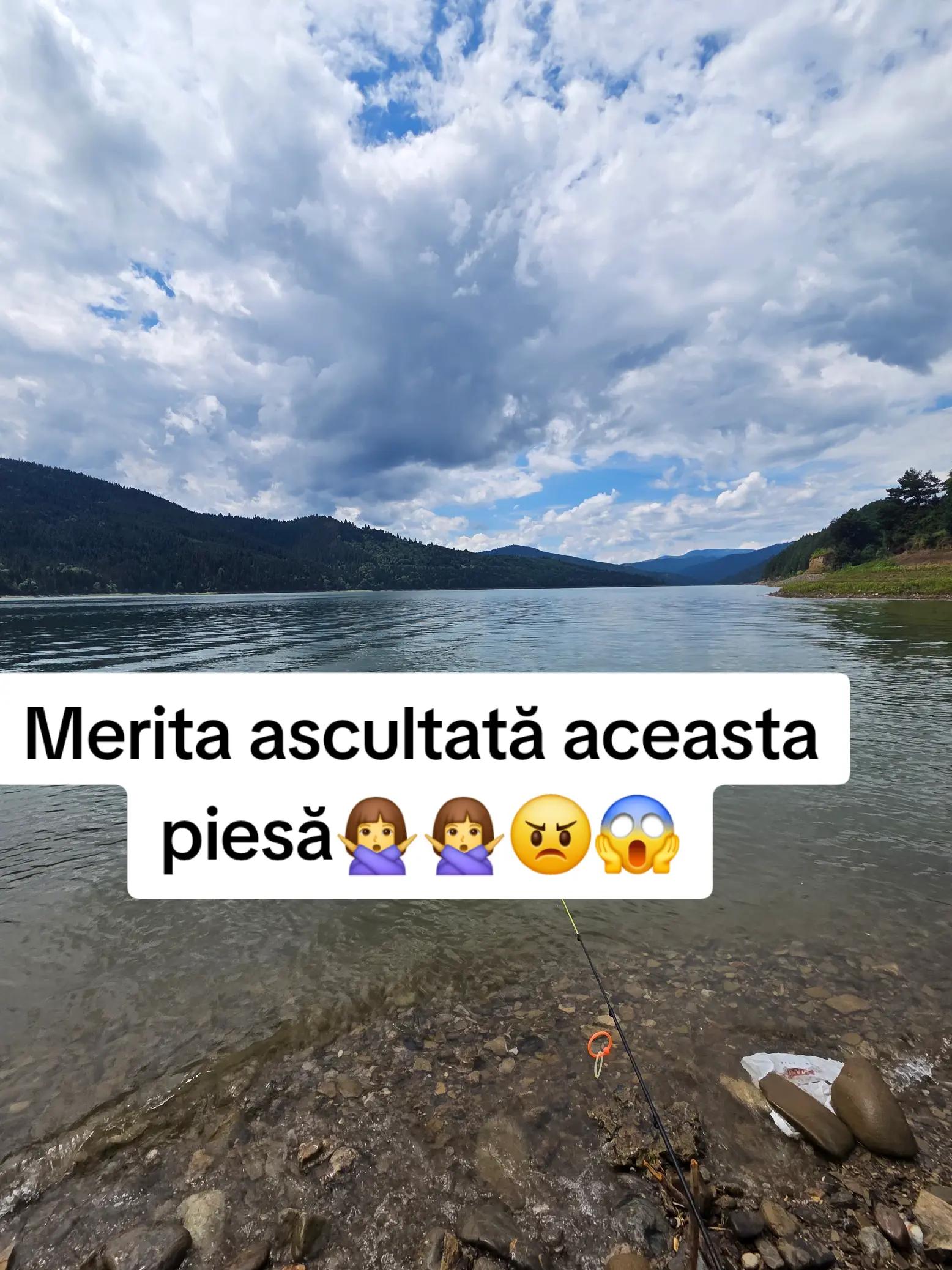 @Irimia Vasilică