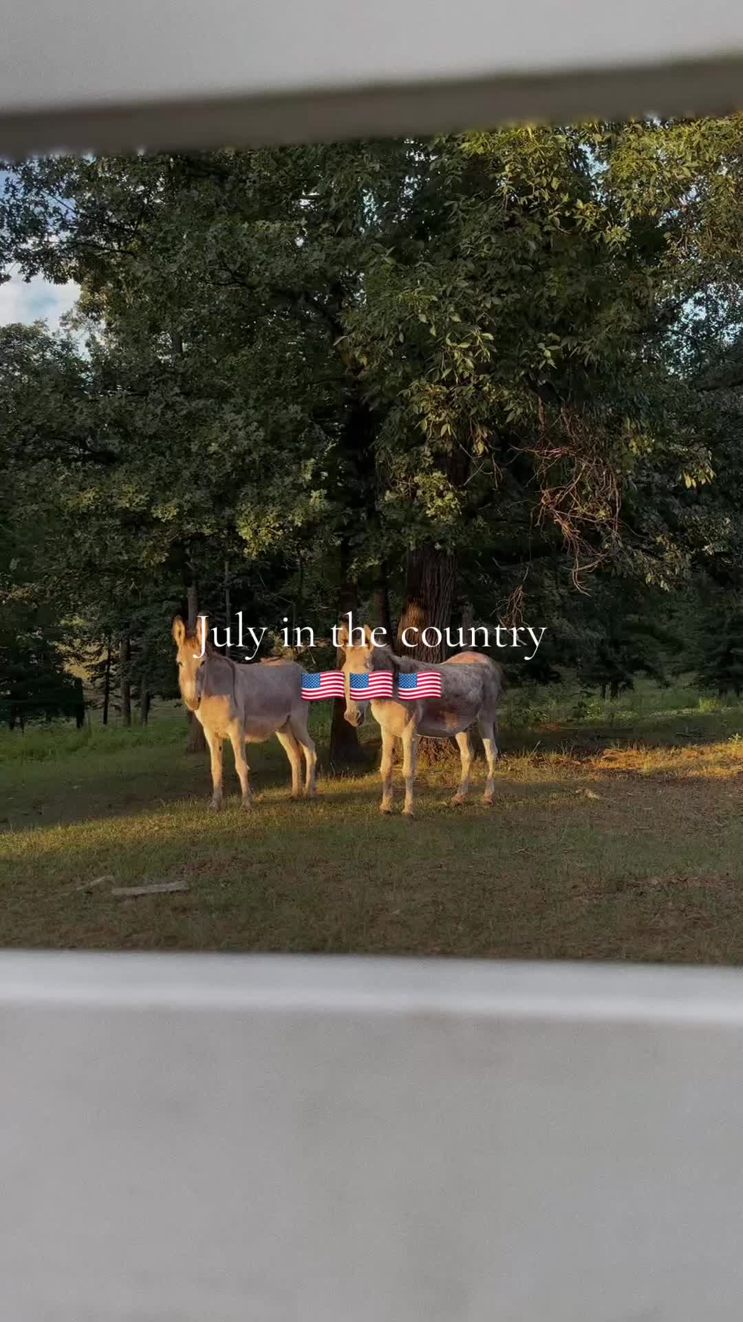 @Heavenly_Homestead
