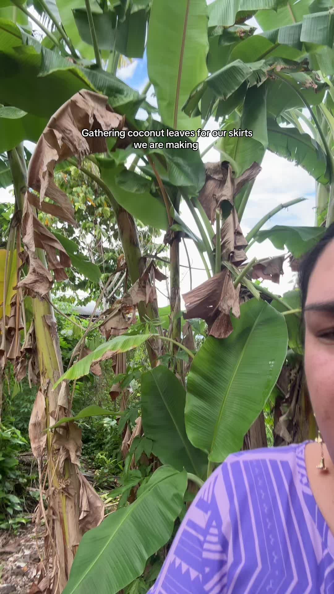 @titilua