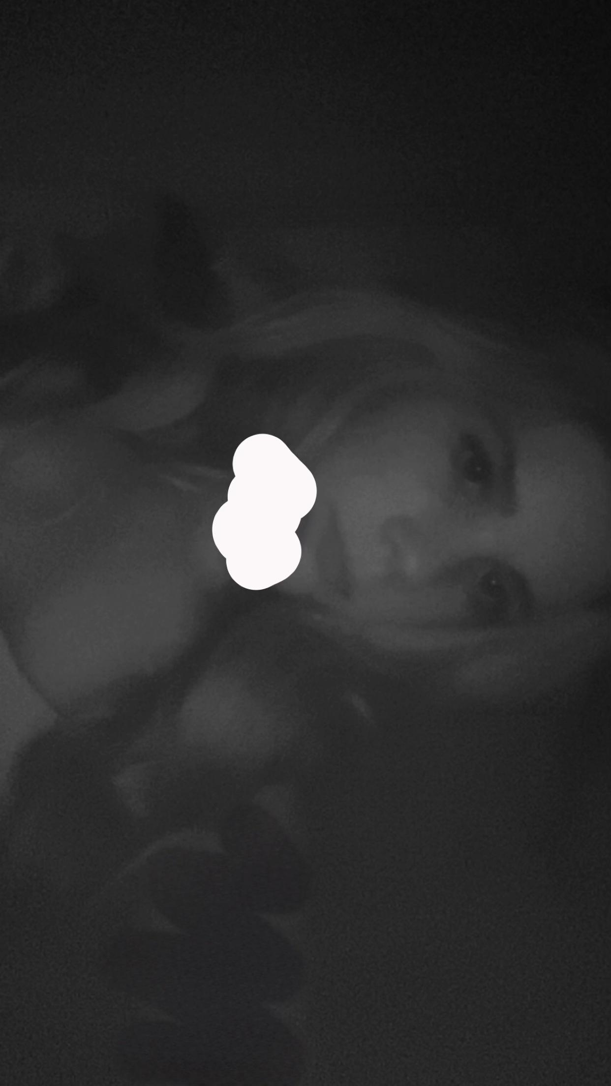 @ebony.newacc.2025