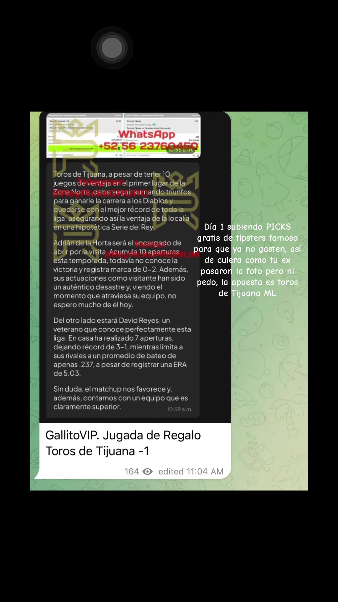 @TODO GRATIS ALV