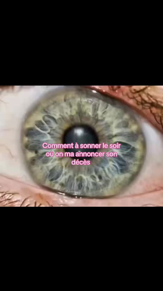 @𝐋.𝐈.𝐋.𝐎.𝐔