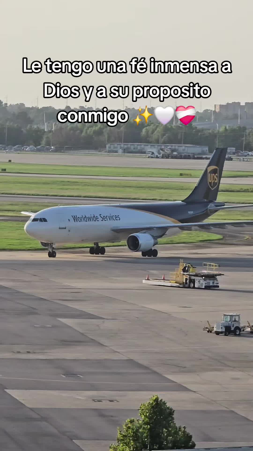 @Consentido ✈️✈️