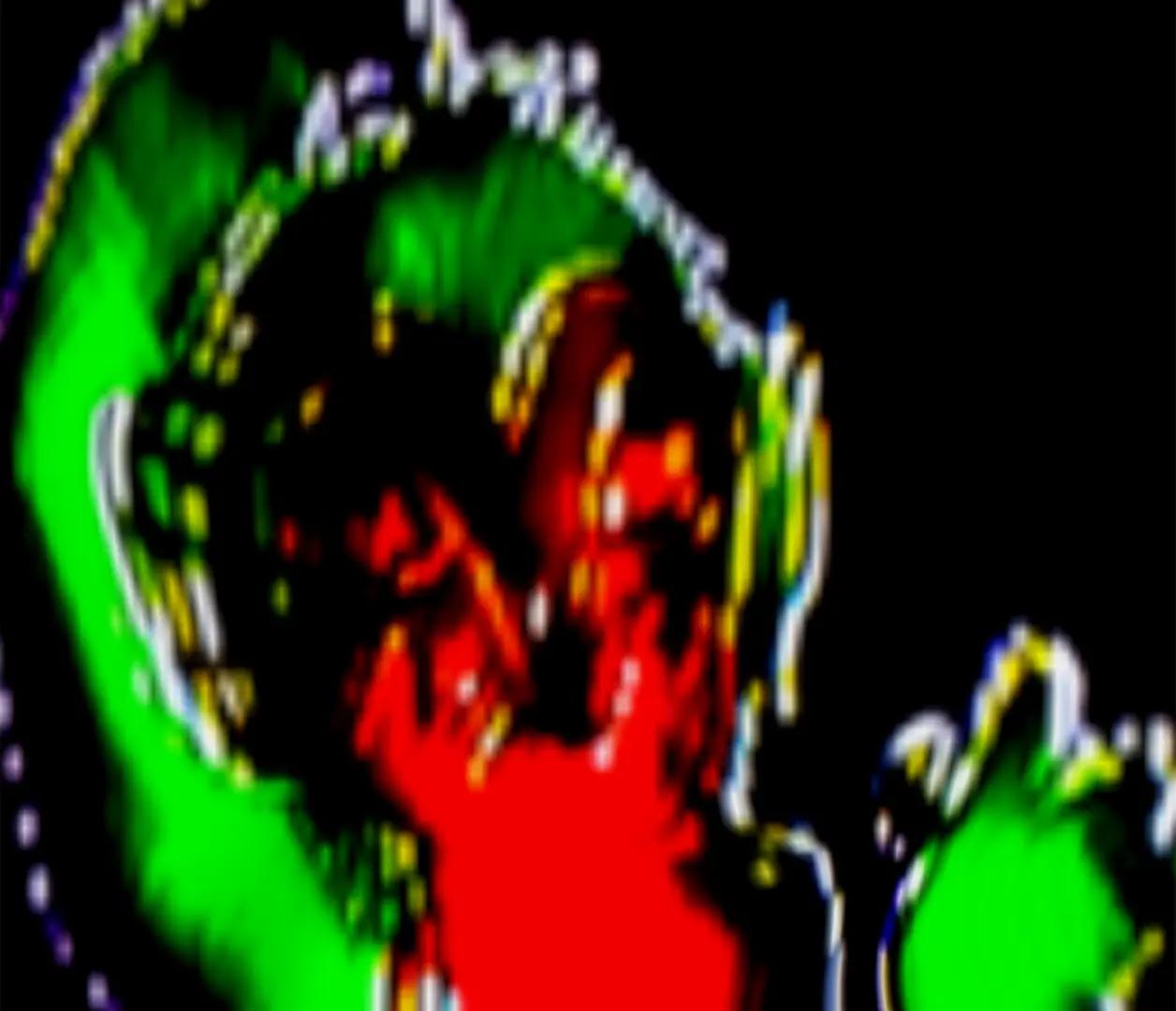 @cockroach-p