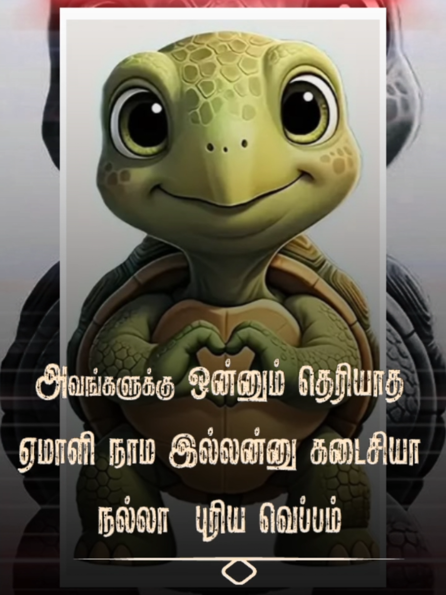 @THANAZ CREATIVE@ammoi
