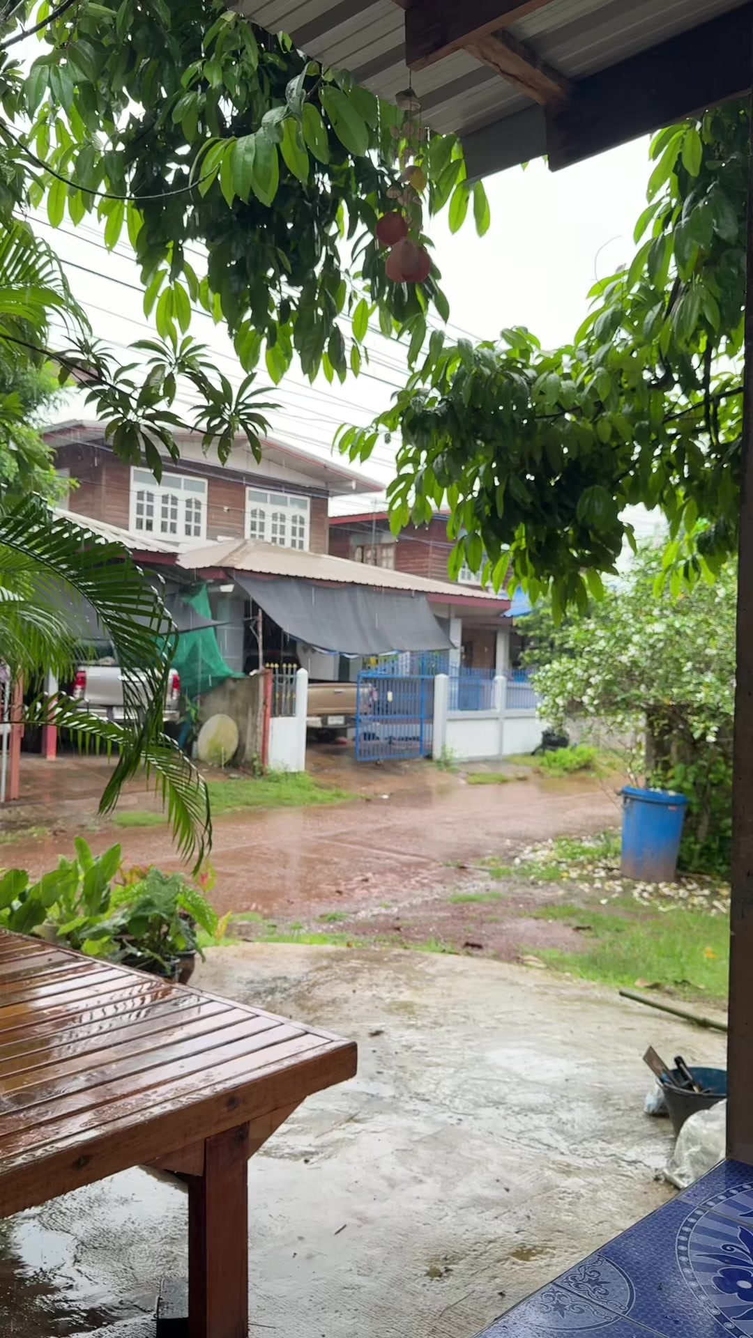 @Wan 🚖🎥🎧🌳⛰️💚🧡