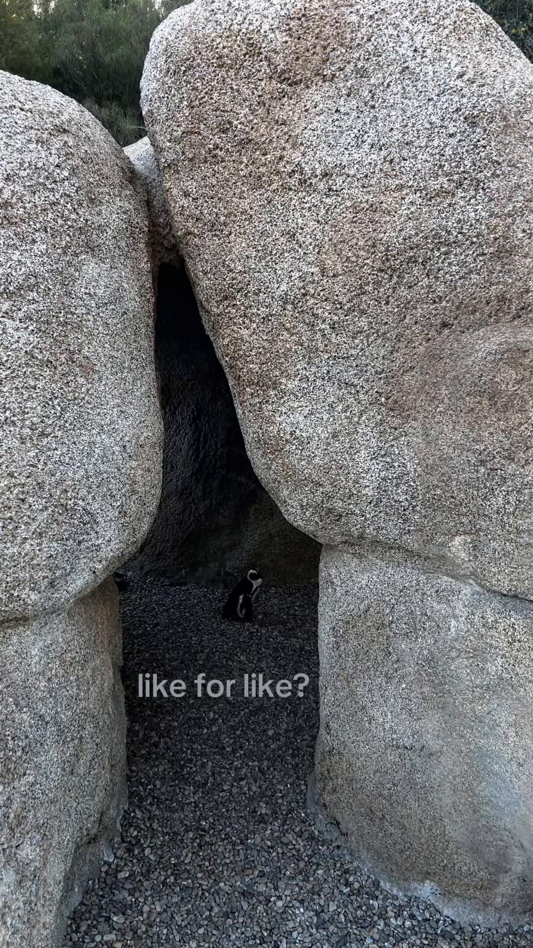 @like my reposts