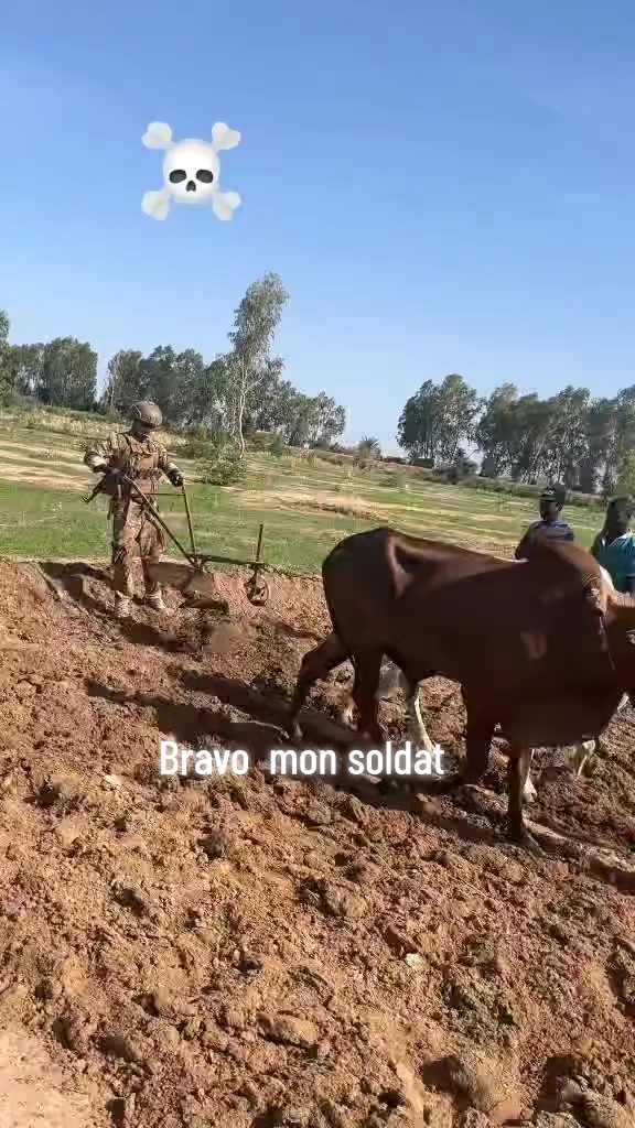 @MALI22 TV