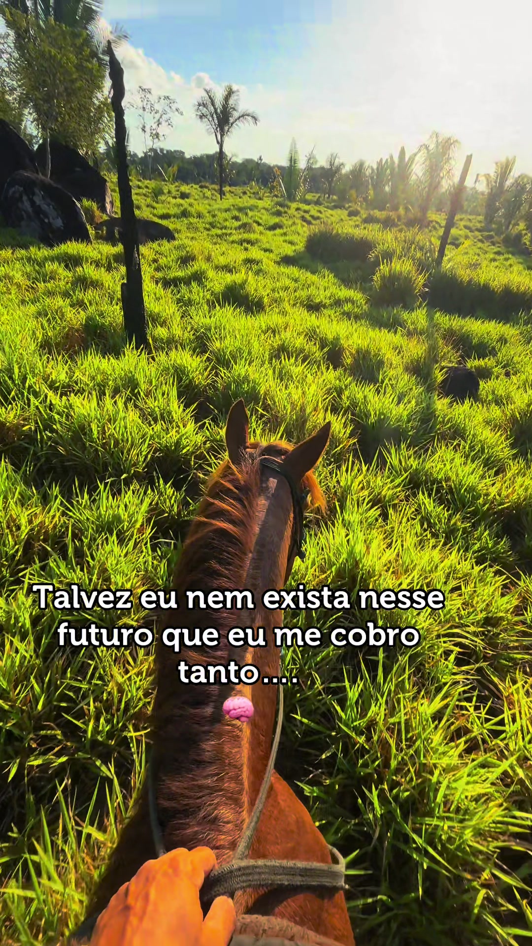 @lukasvieira_🍀