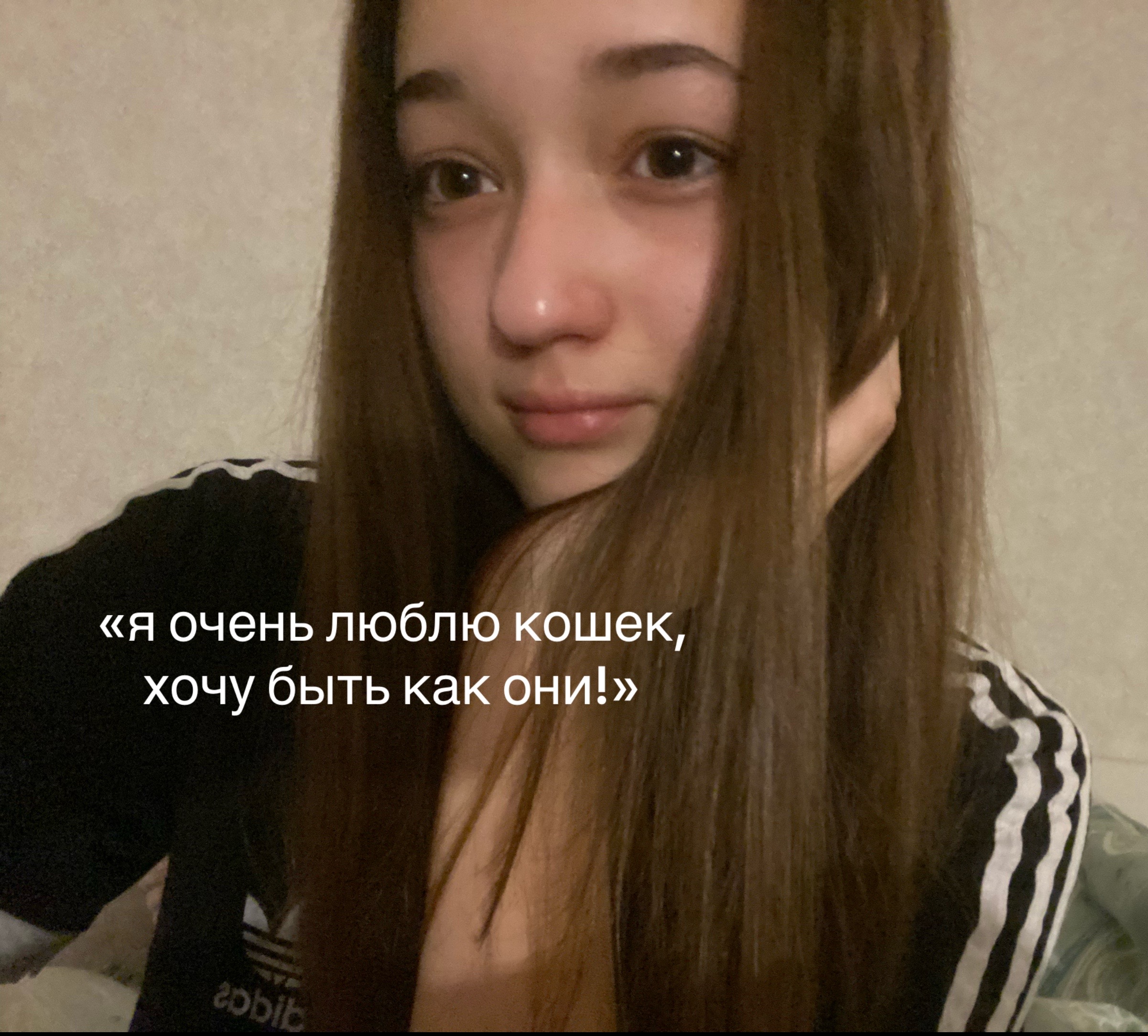 @никаляша🐈⬛