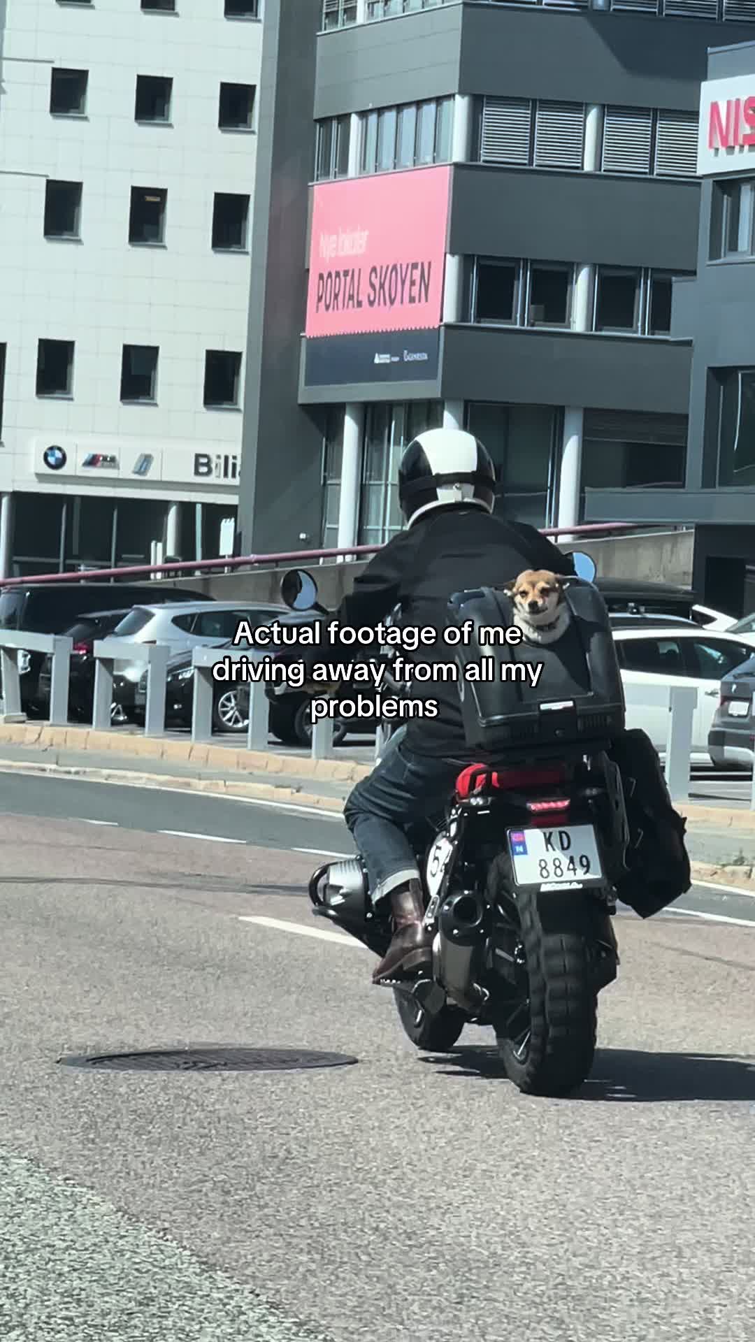 @mbjfan