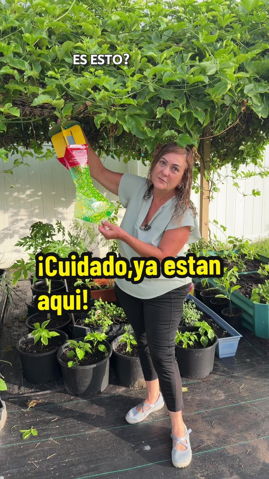 @Aprendiendo con Ana