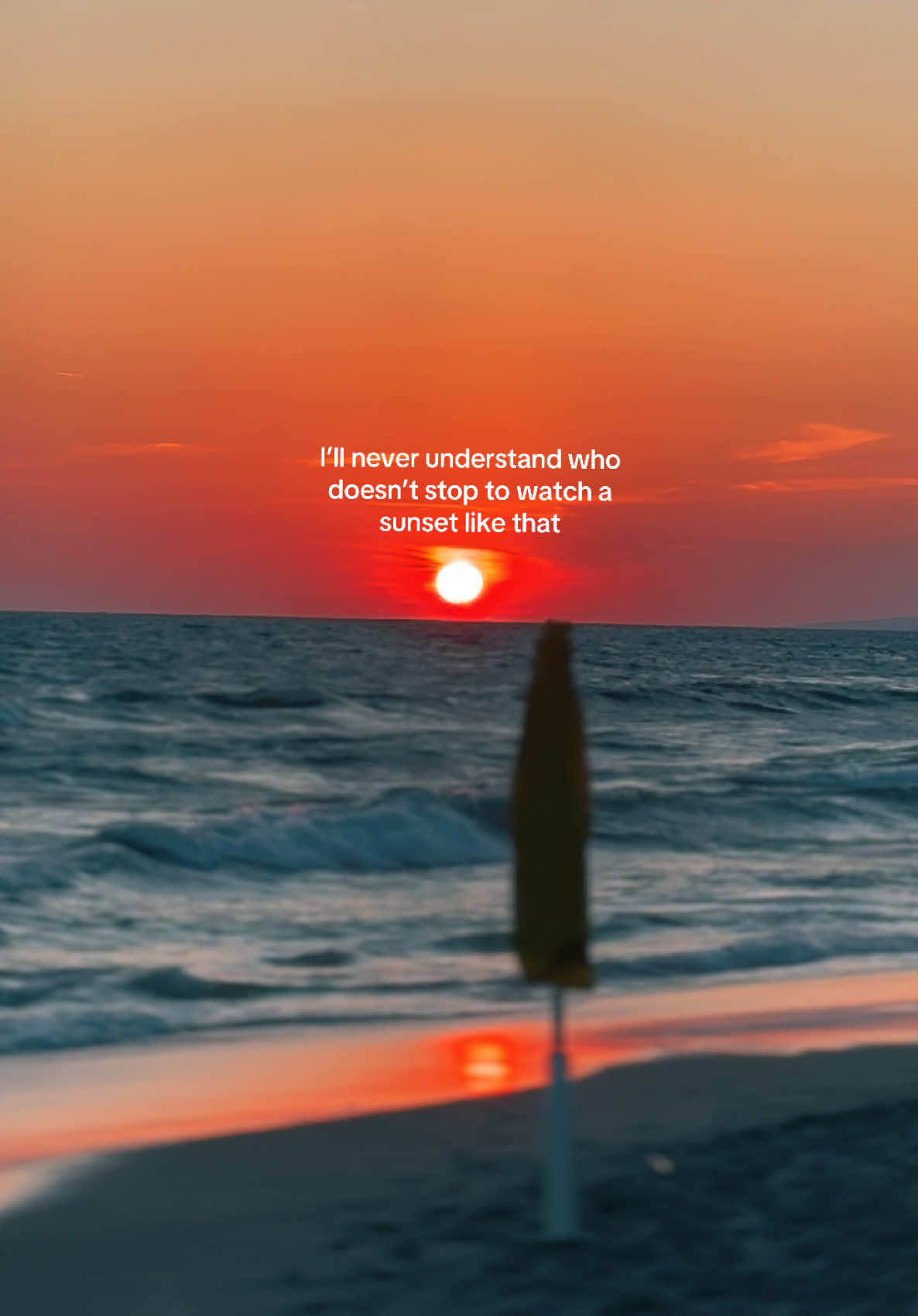 @palmtreeskid