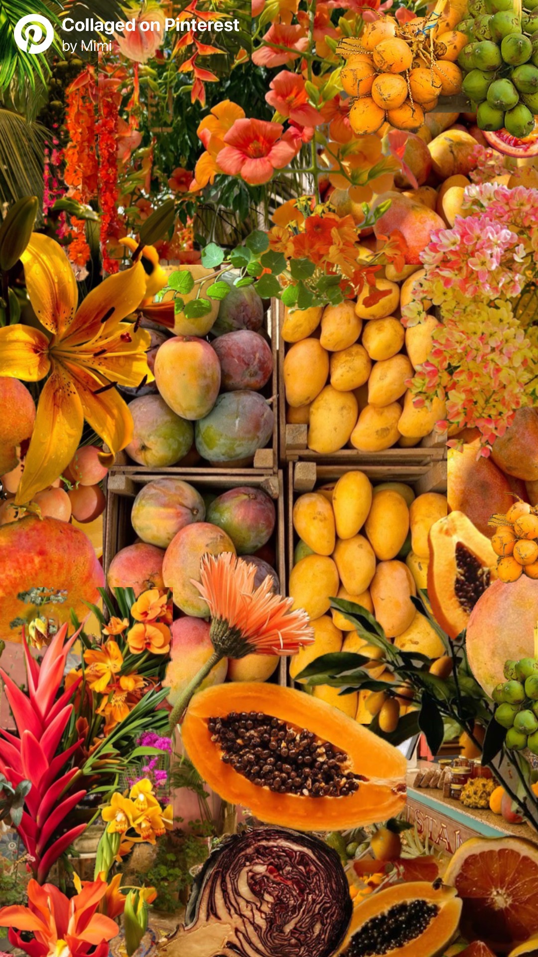 @MimiSuki