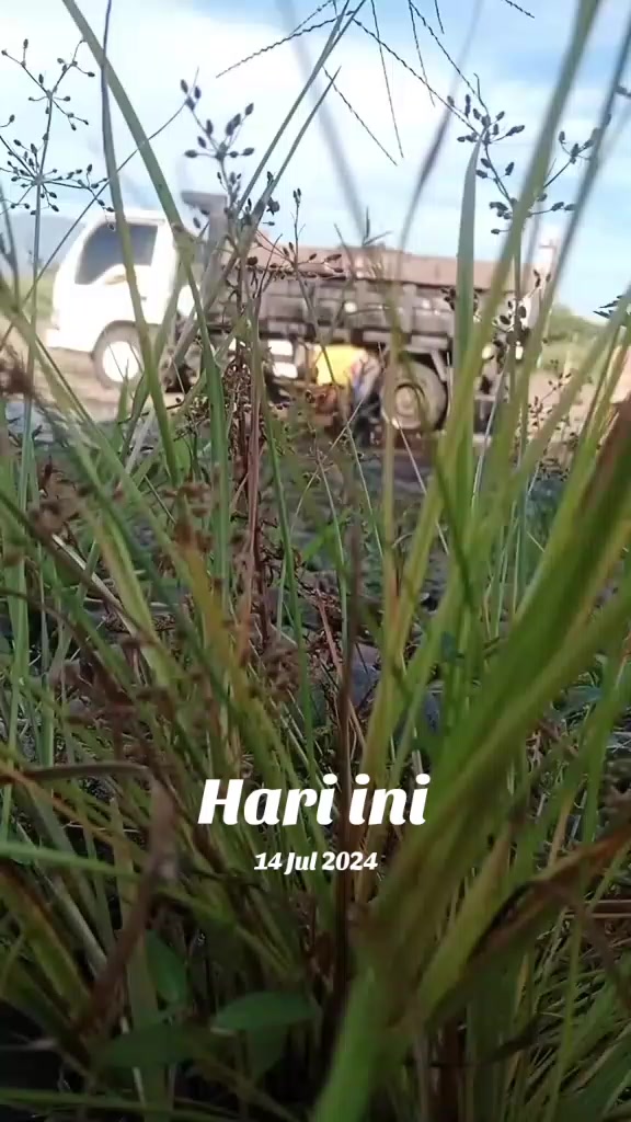 @H@n's✔️