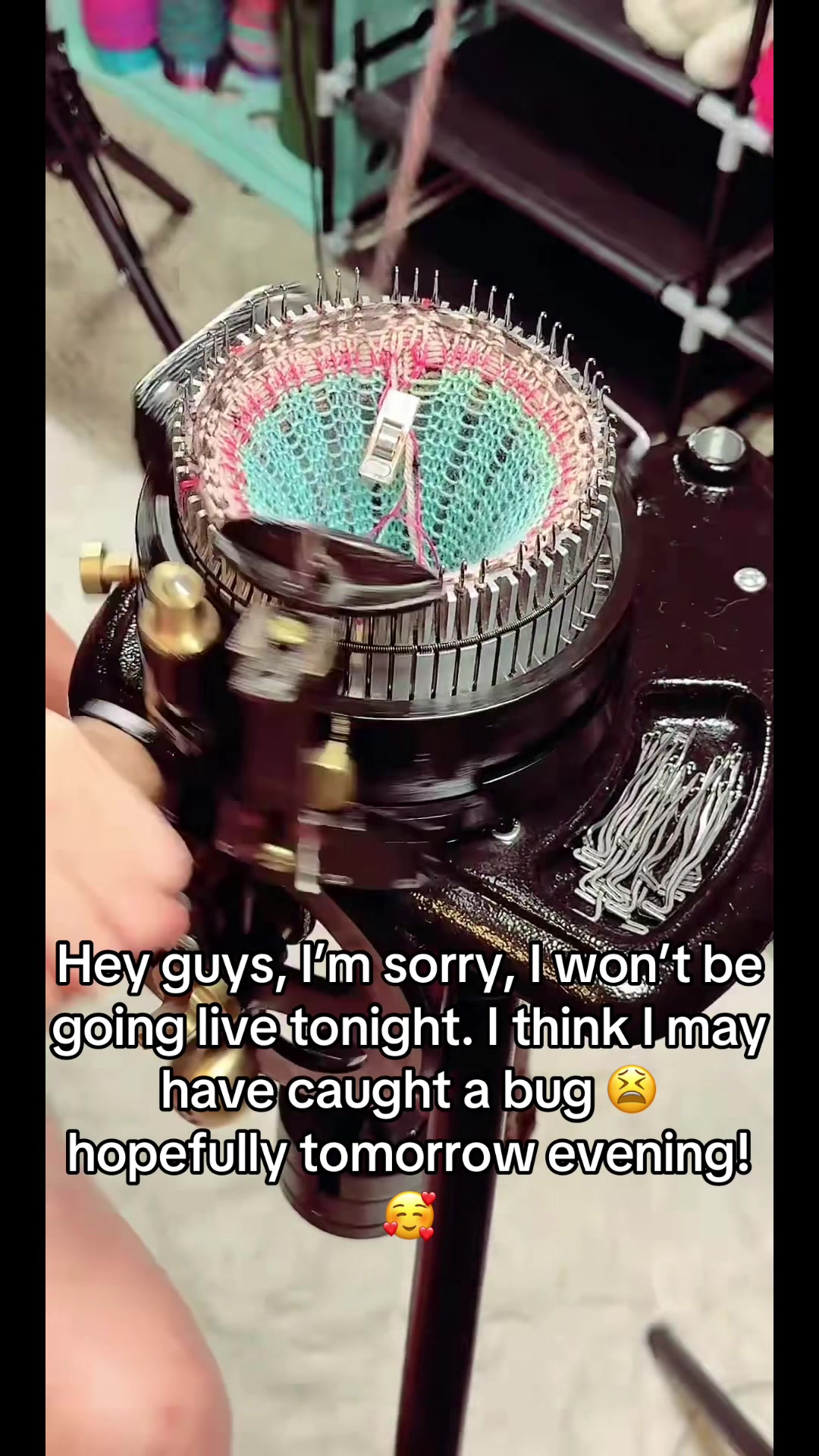 @KKaz (Kelly)