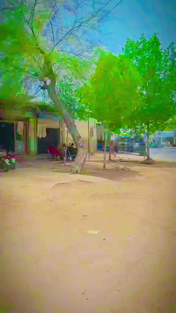 @inzamam jani