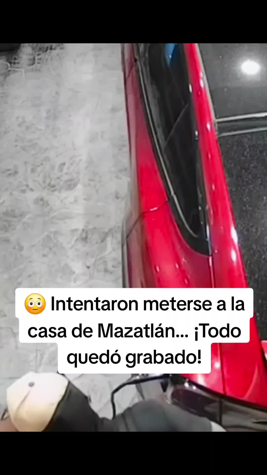 @Chismecito Suculento VIP