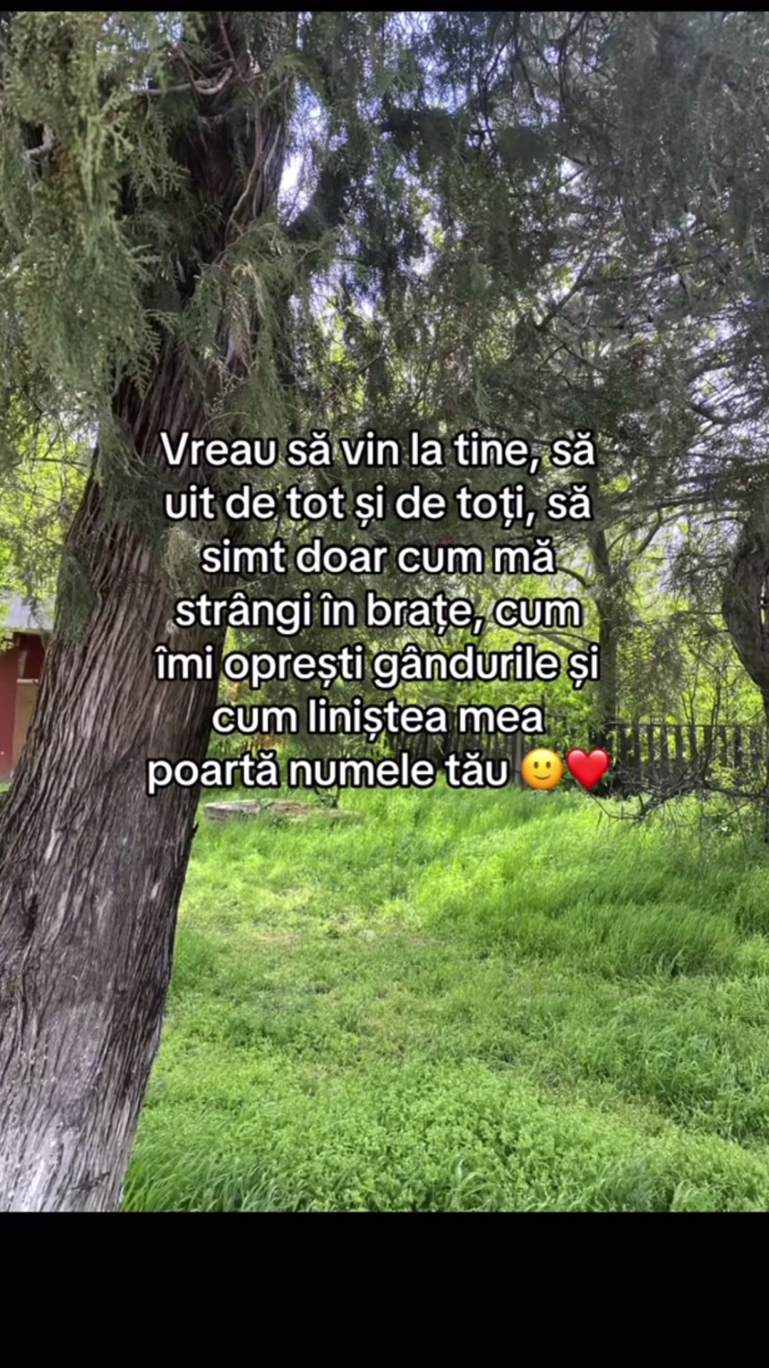 @Citate_cu_de_toate