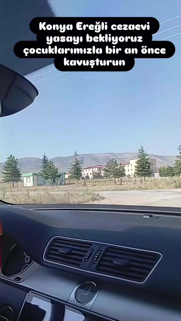 @elfidamm