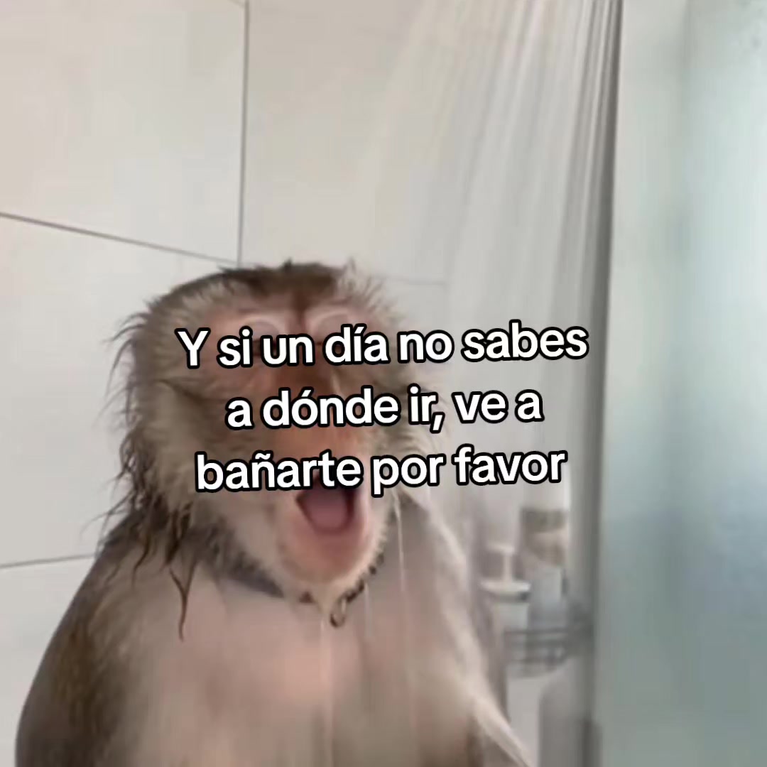 @goodvibessxd