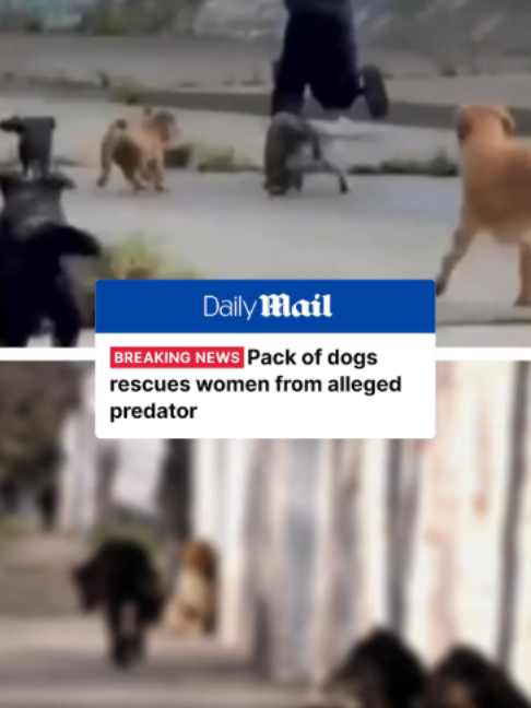 @Daily Mail Australia