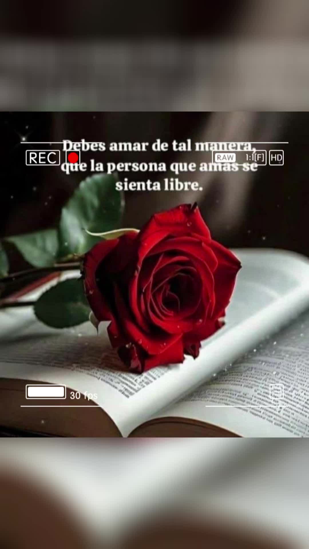 @elvirasvg