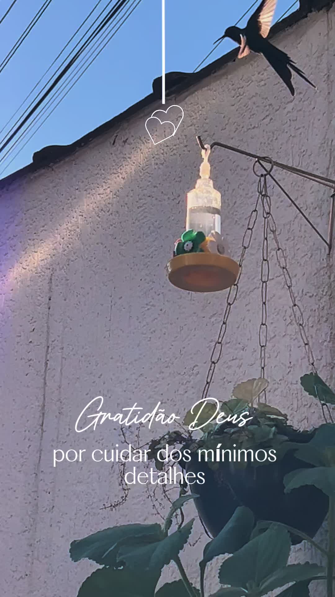 @Lia@23
