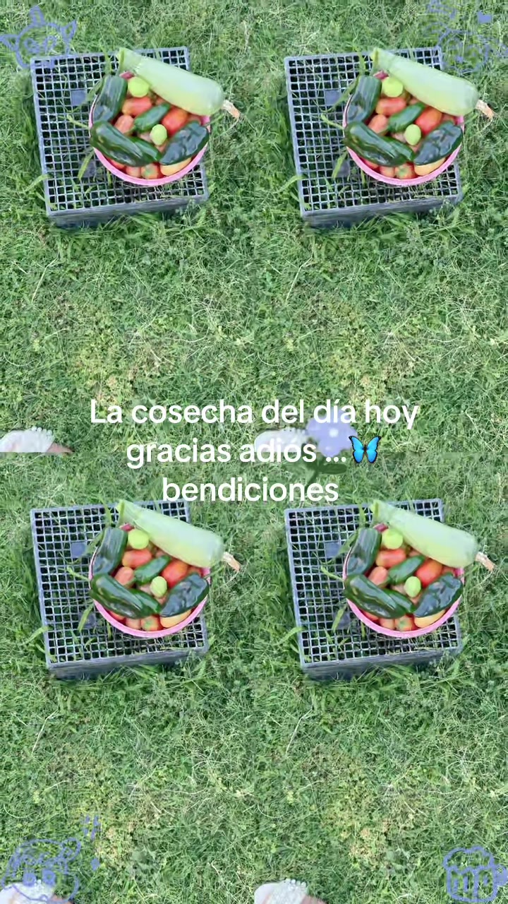 @China | La Costeña 🦋