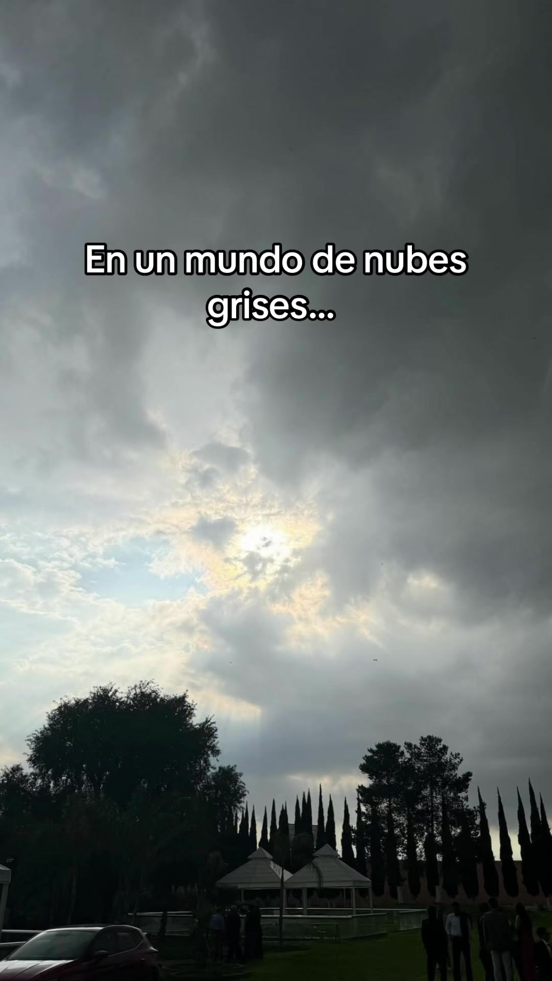 @David Esc